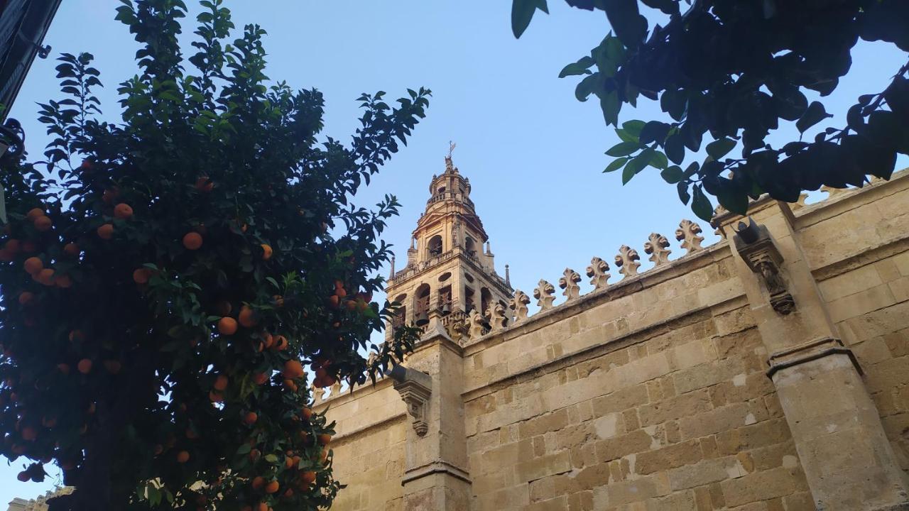 Apartamento Saravia Only Families Cordoba Exterior photo